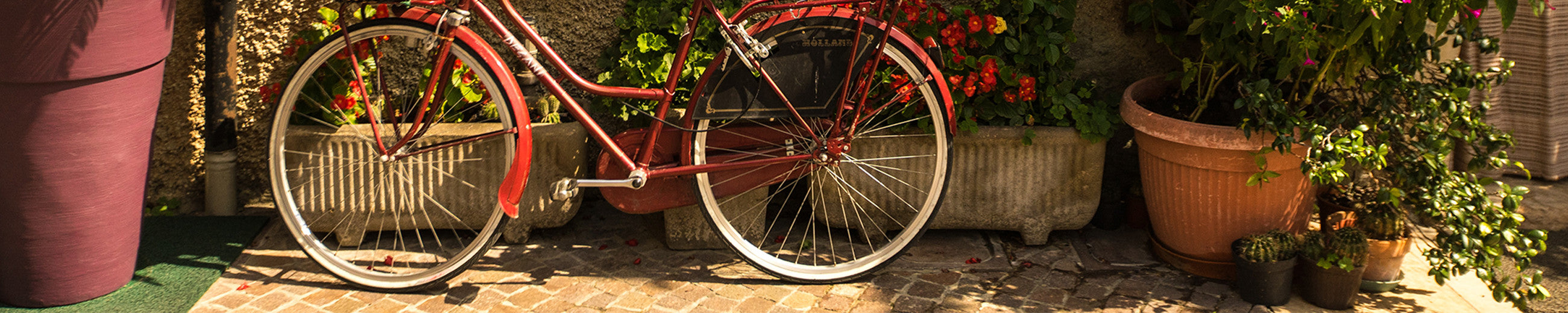 5 simple steps how to achieve cottage core aesthetic