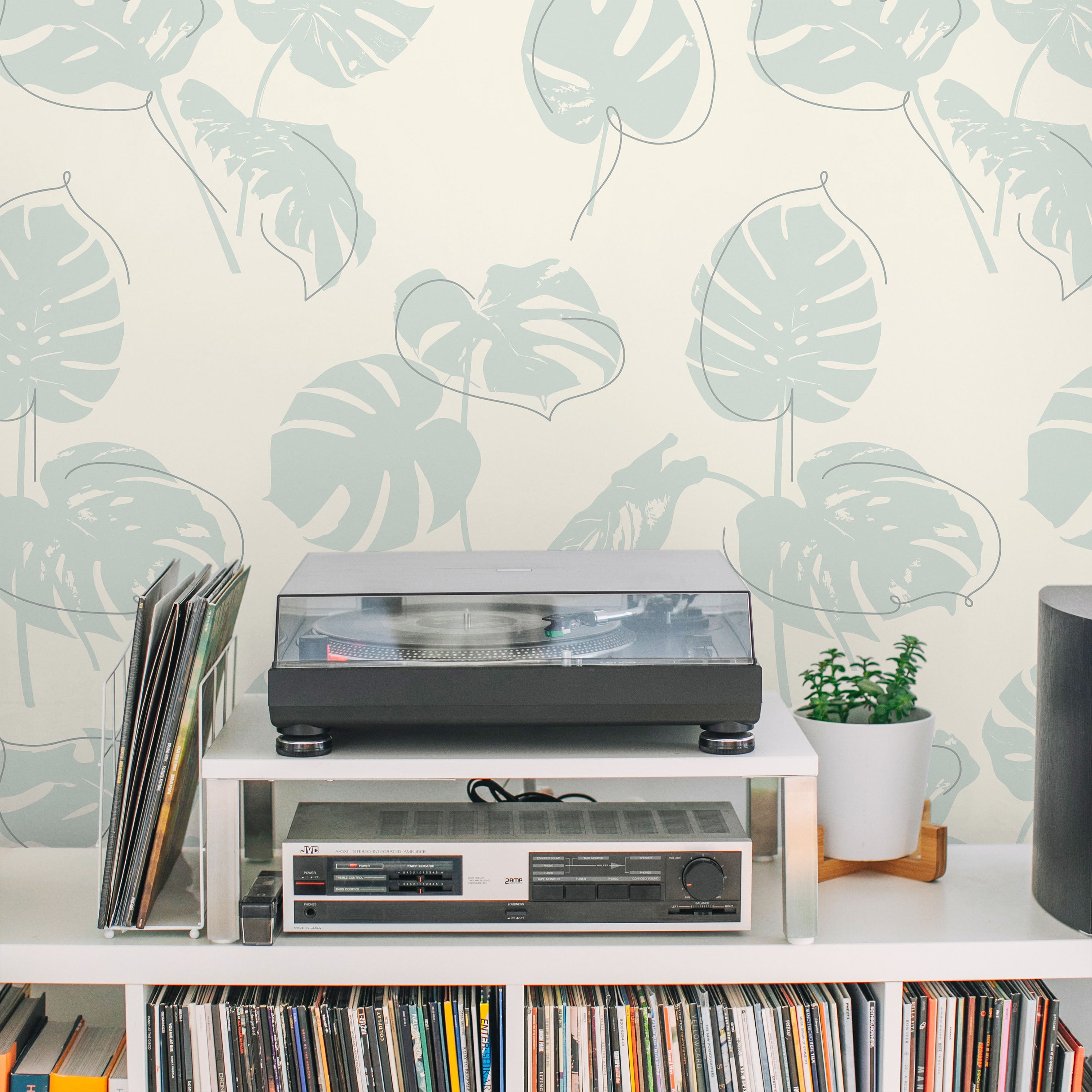 Monstera Leaves Peel and Stick Wallpaper, Removable Wallpaper, Traditional Wallpaper - Mint Green | DeccoPrint