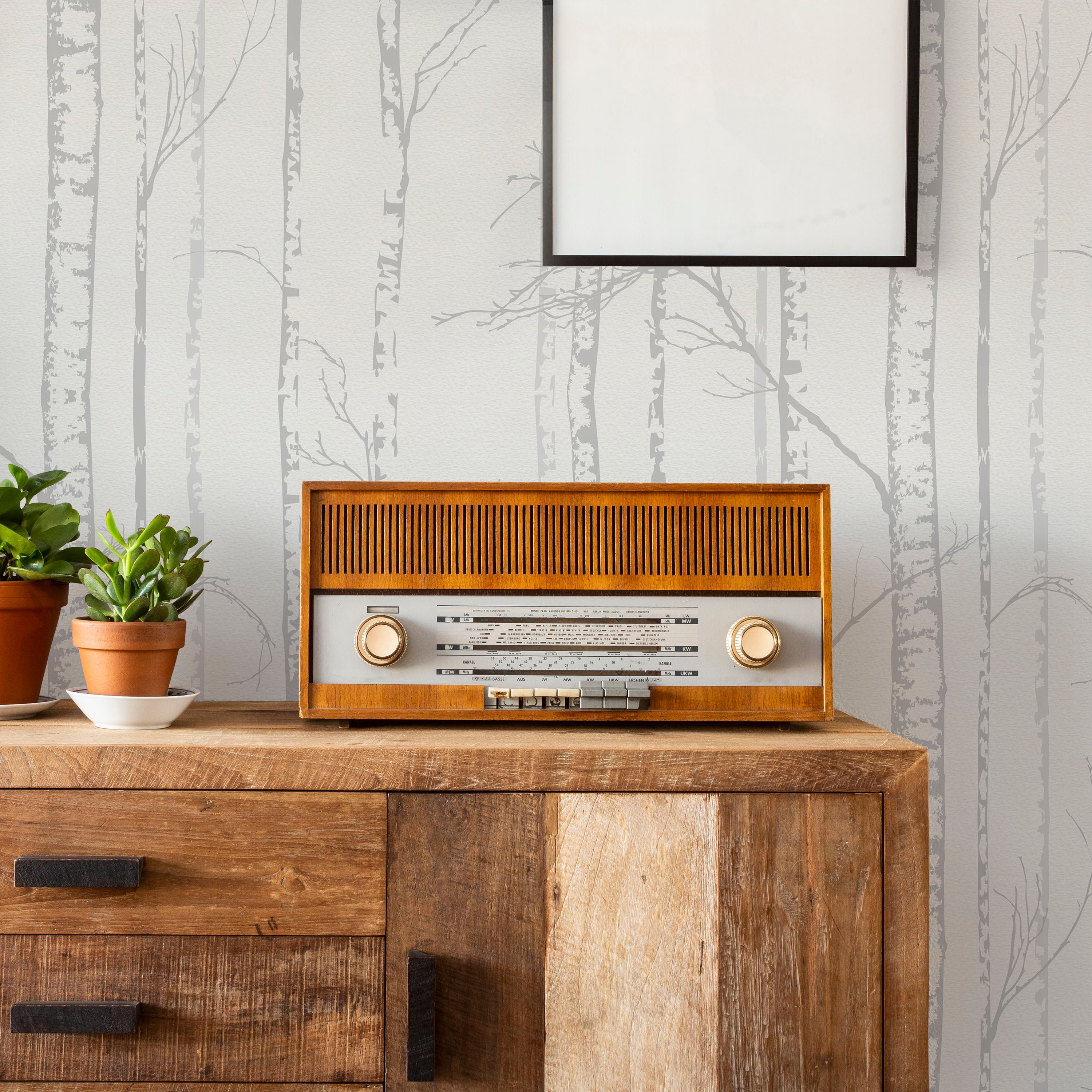 Birch Forest Peel and Stick Wallpaper, Removable Wallpaper, Traditional Wallpaper - Light Gray | DeccoPrint