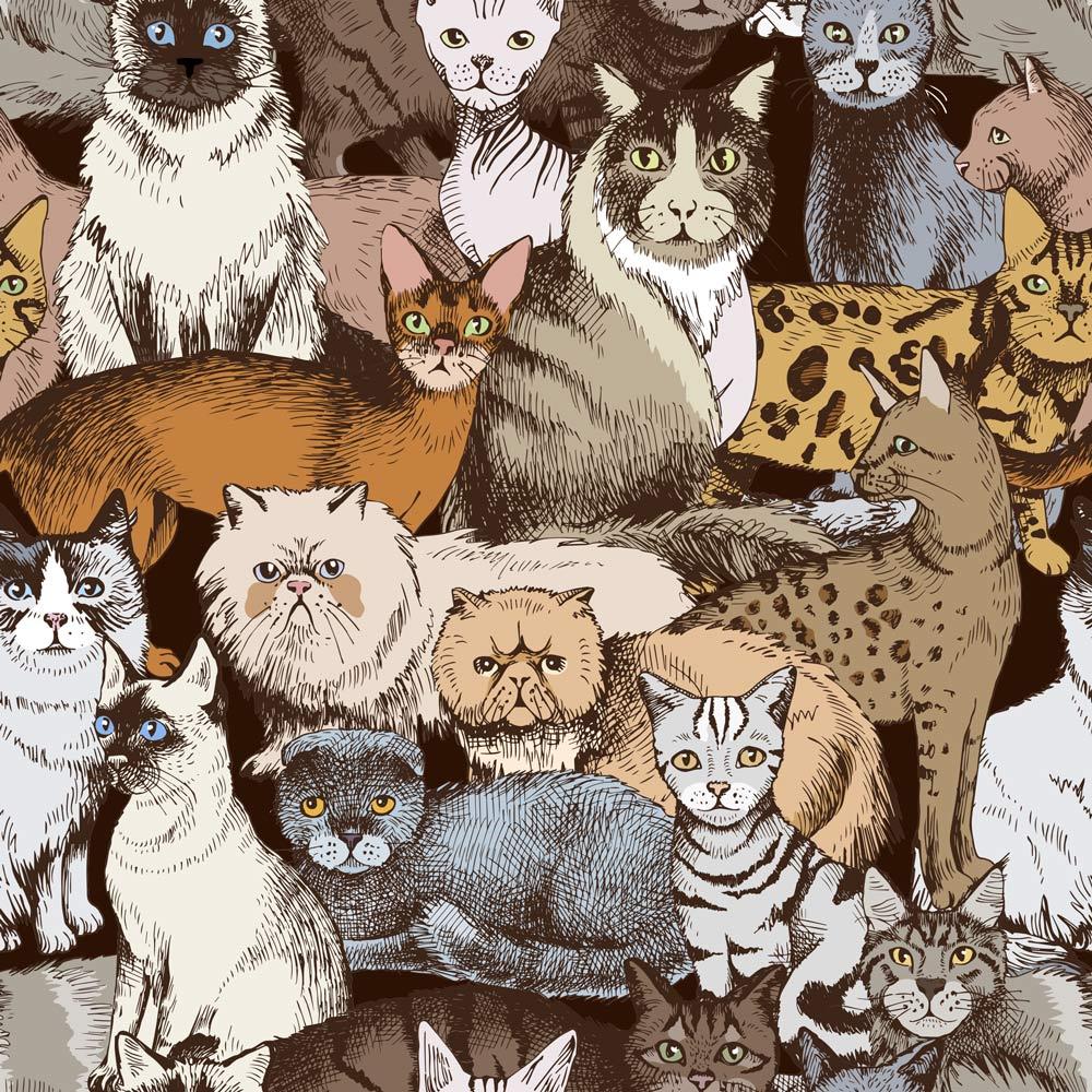 Band of Cats Wallpaper | DeccoPrint