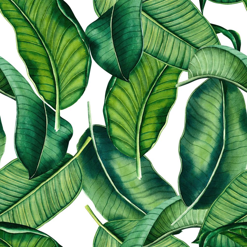 Botanical Leaves Wallpaper - DeccoPrint