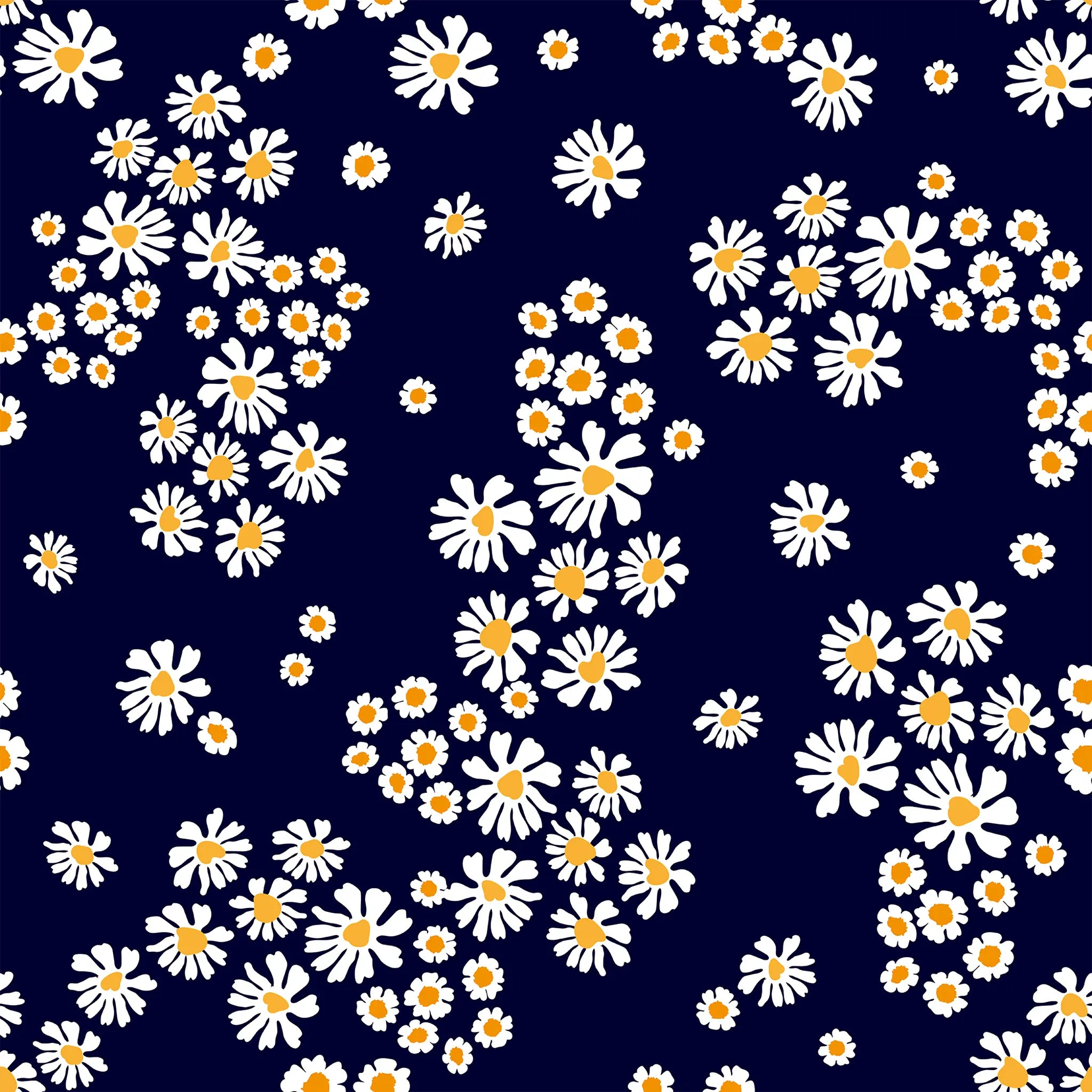 White flowers with yellow centers on a dark blue background