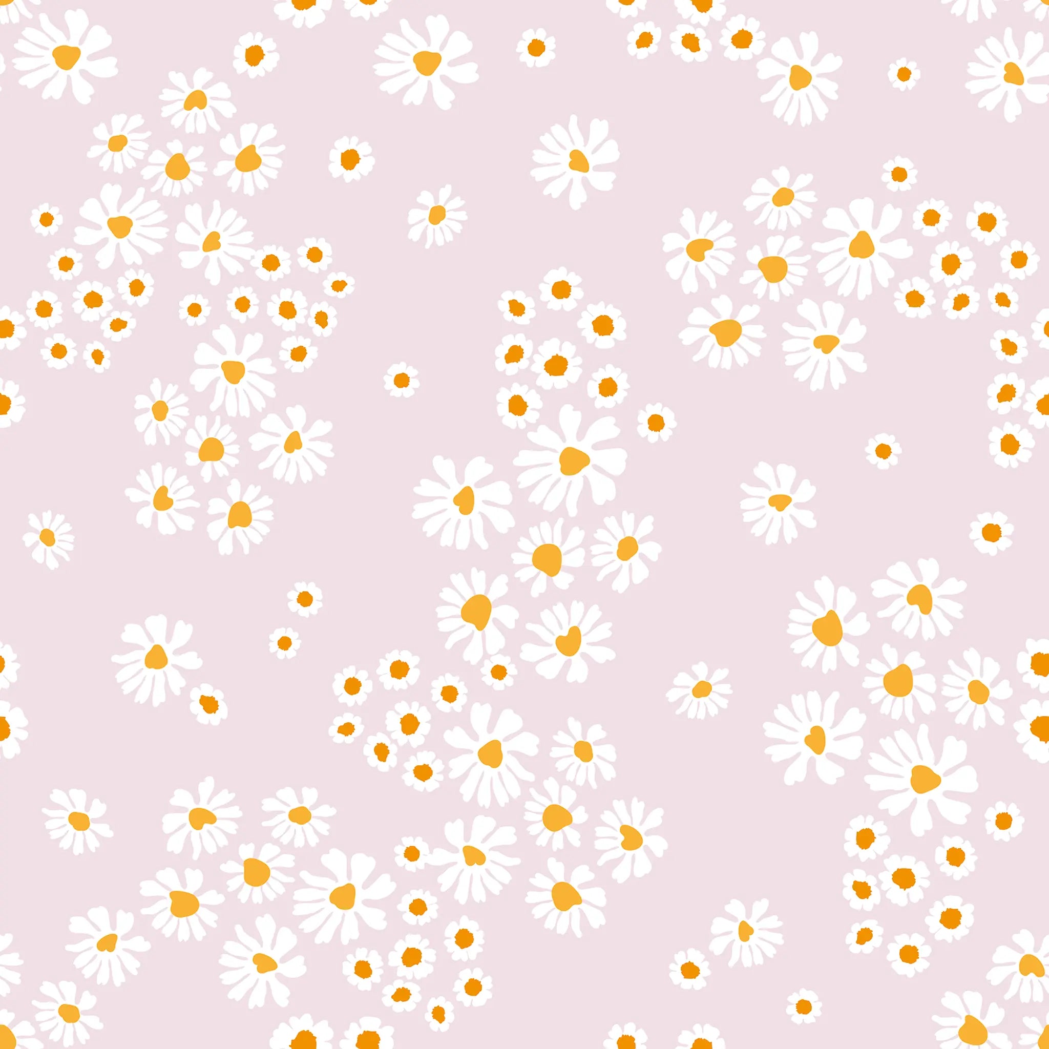 Pattern of white flowers with yellow centers on a pink background