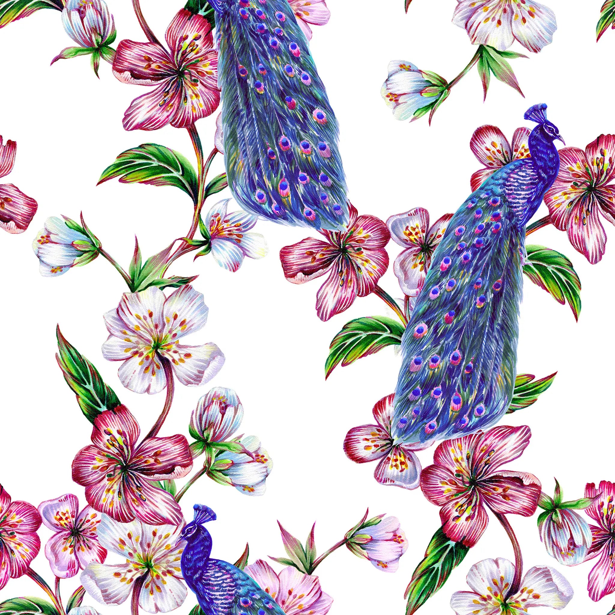 Pattern of peacocks and flowers on a white background