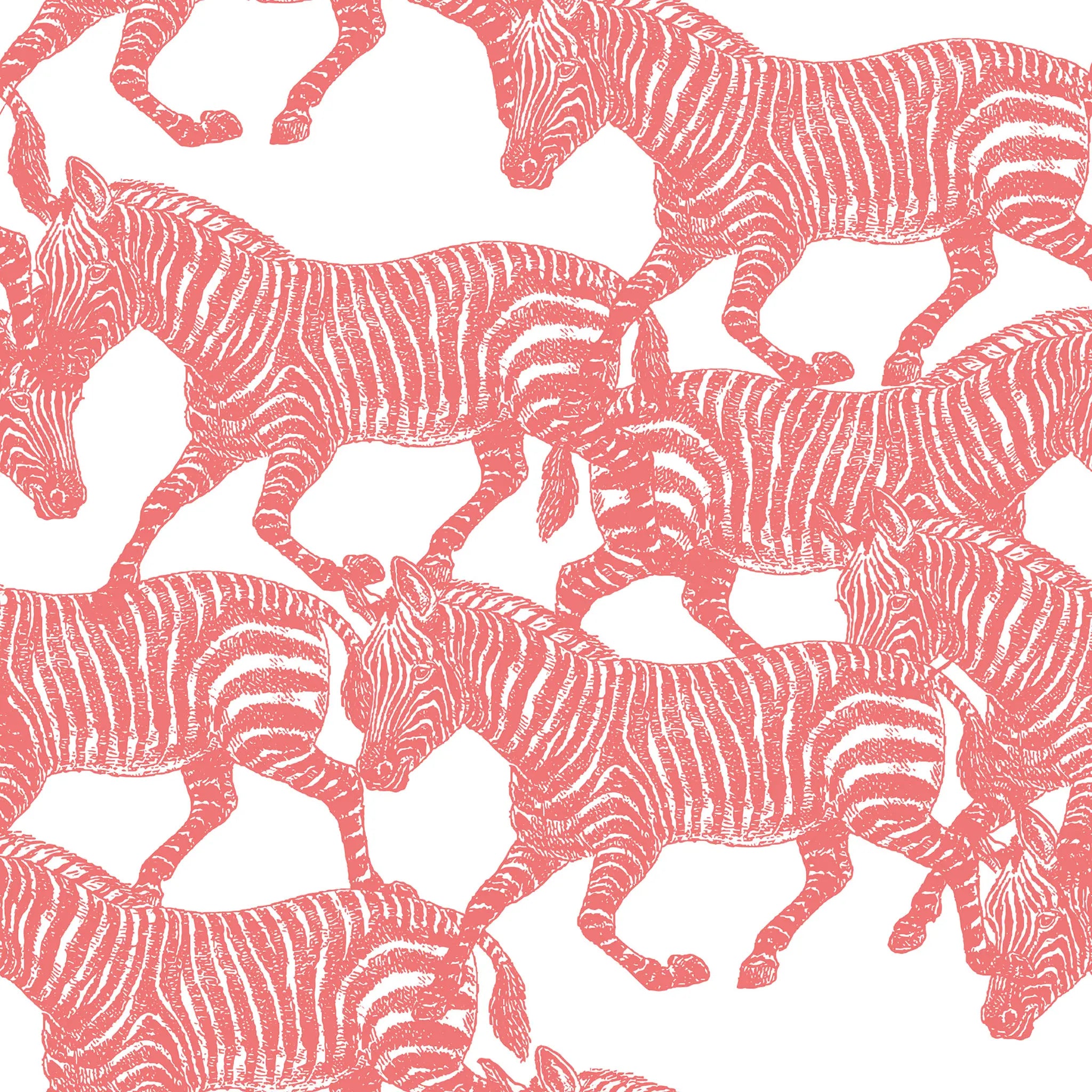 Coral Zebras Peel and Stick Wallpaper, Removable Wallpaper, Traditional Wallpaper | DeccoPrint
