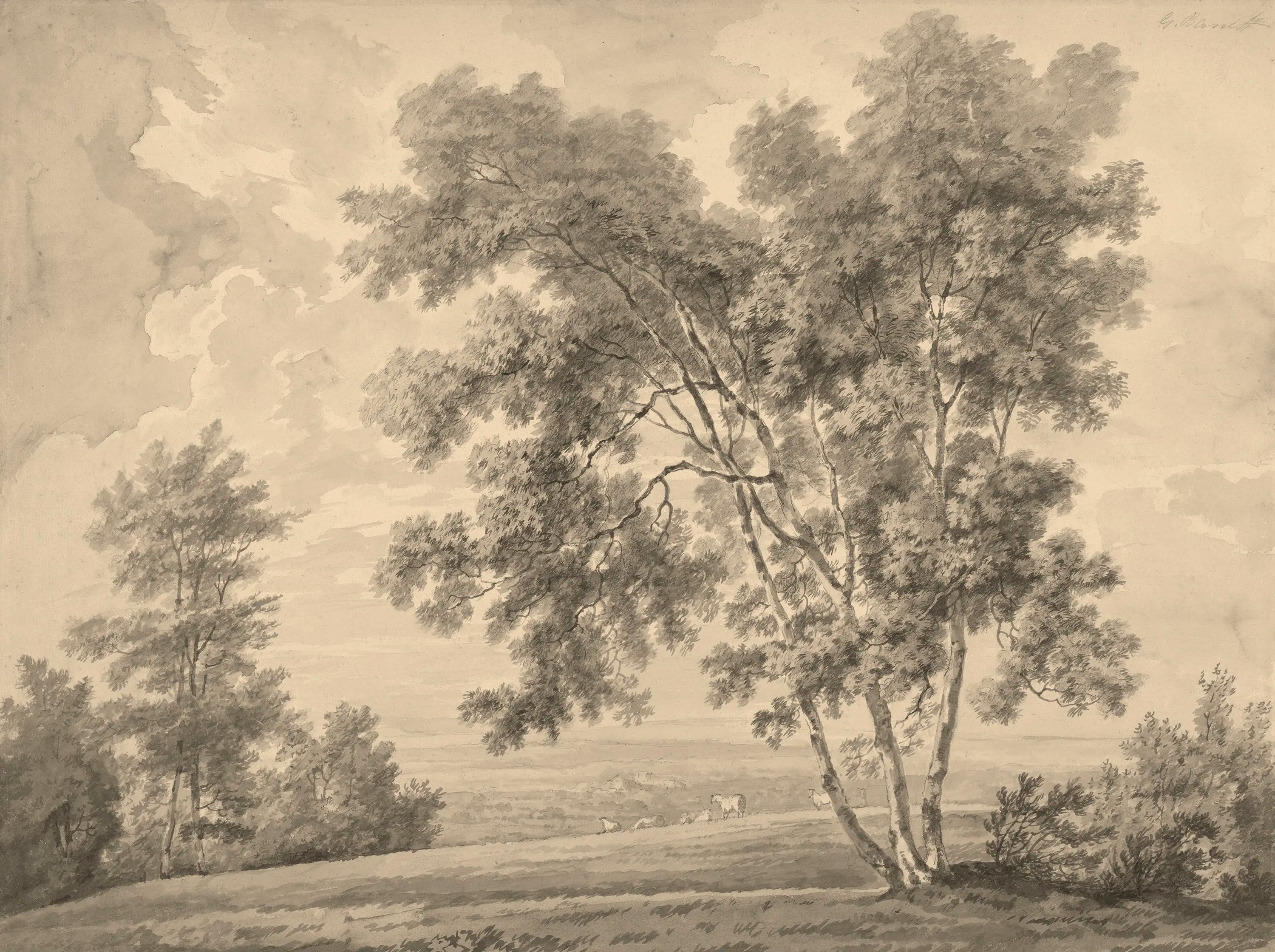 Landscape with trees and sheeps on a field in sepia tone