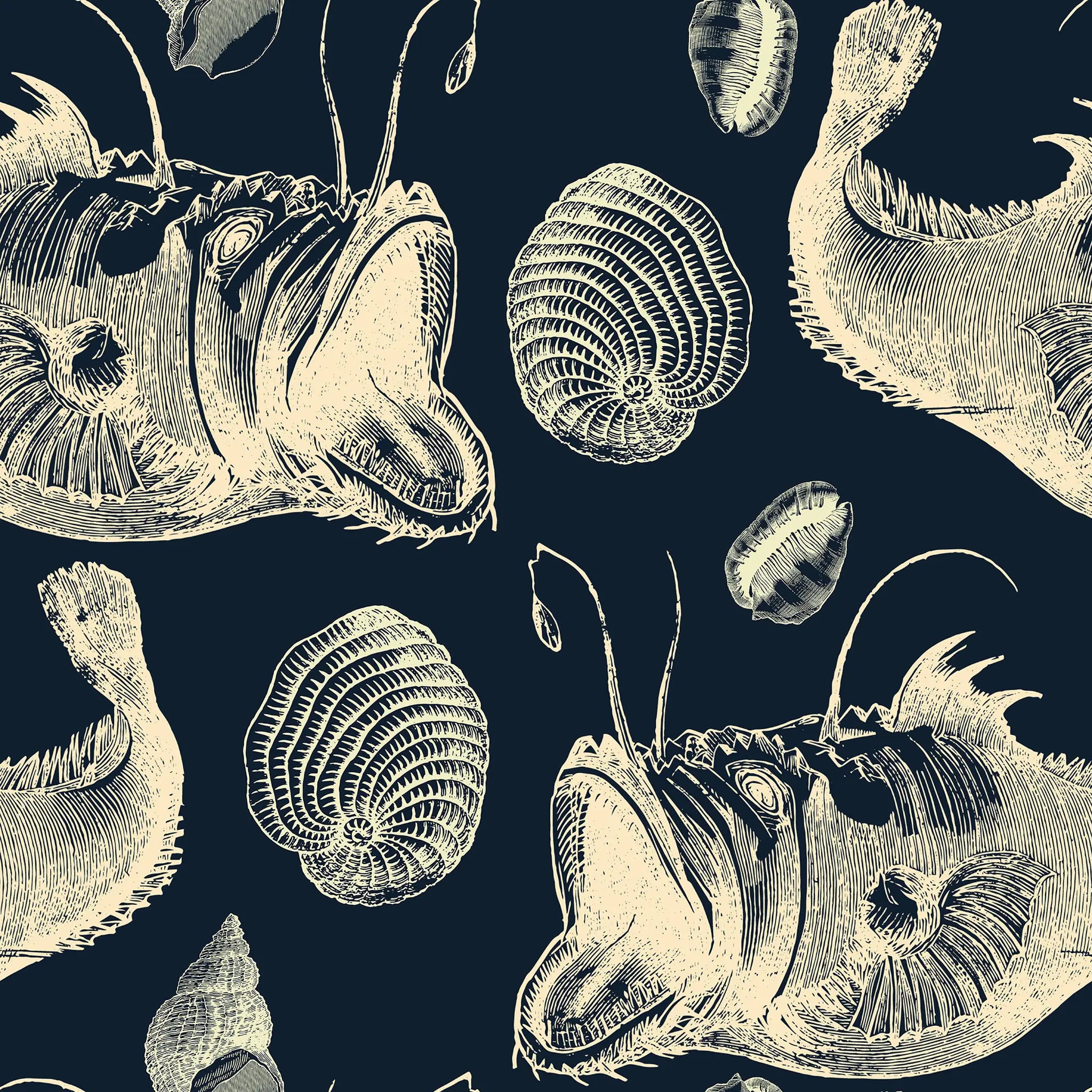 Illustrations of fish and shells on a dark background