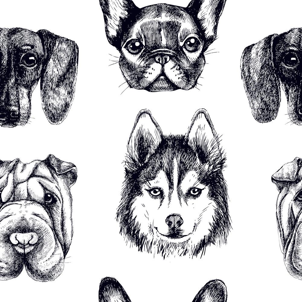 Doggie Portraits Wallpaper - DeccoPrint