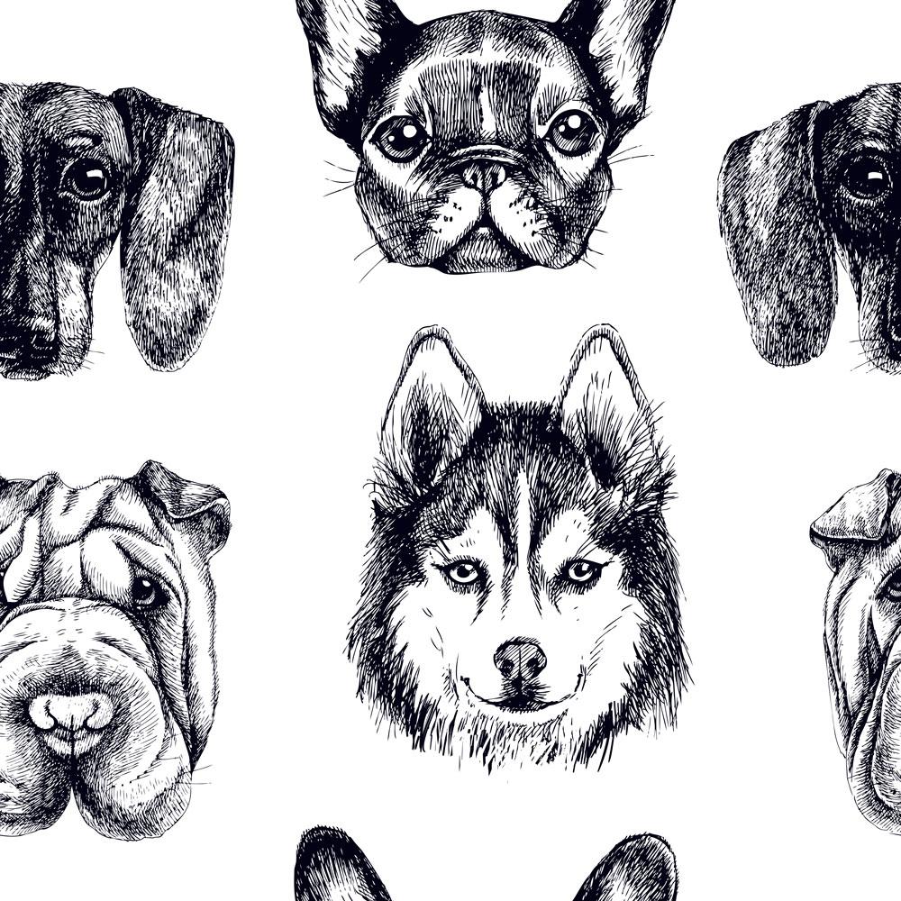 Dog Portraits Peel and Stick Wallpaper, Removable Wallpaper, Traditional Wallpaper | DeccoPrint