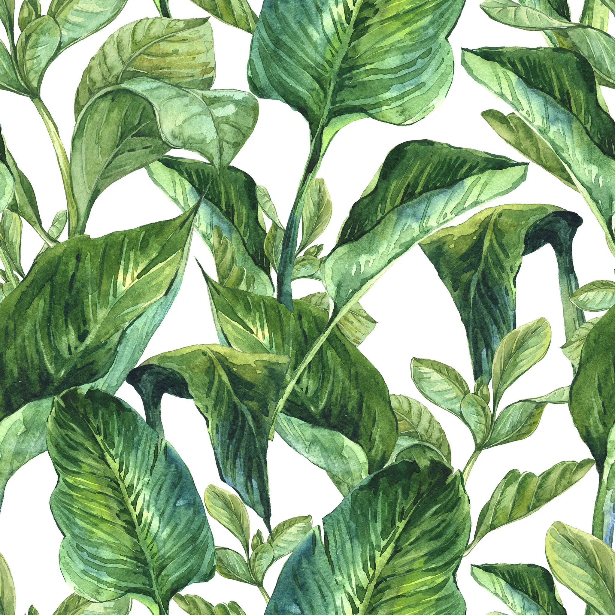 Pattern of green leaves on a white background