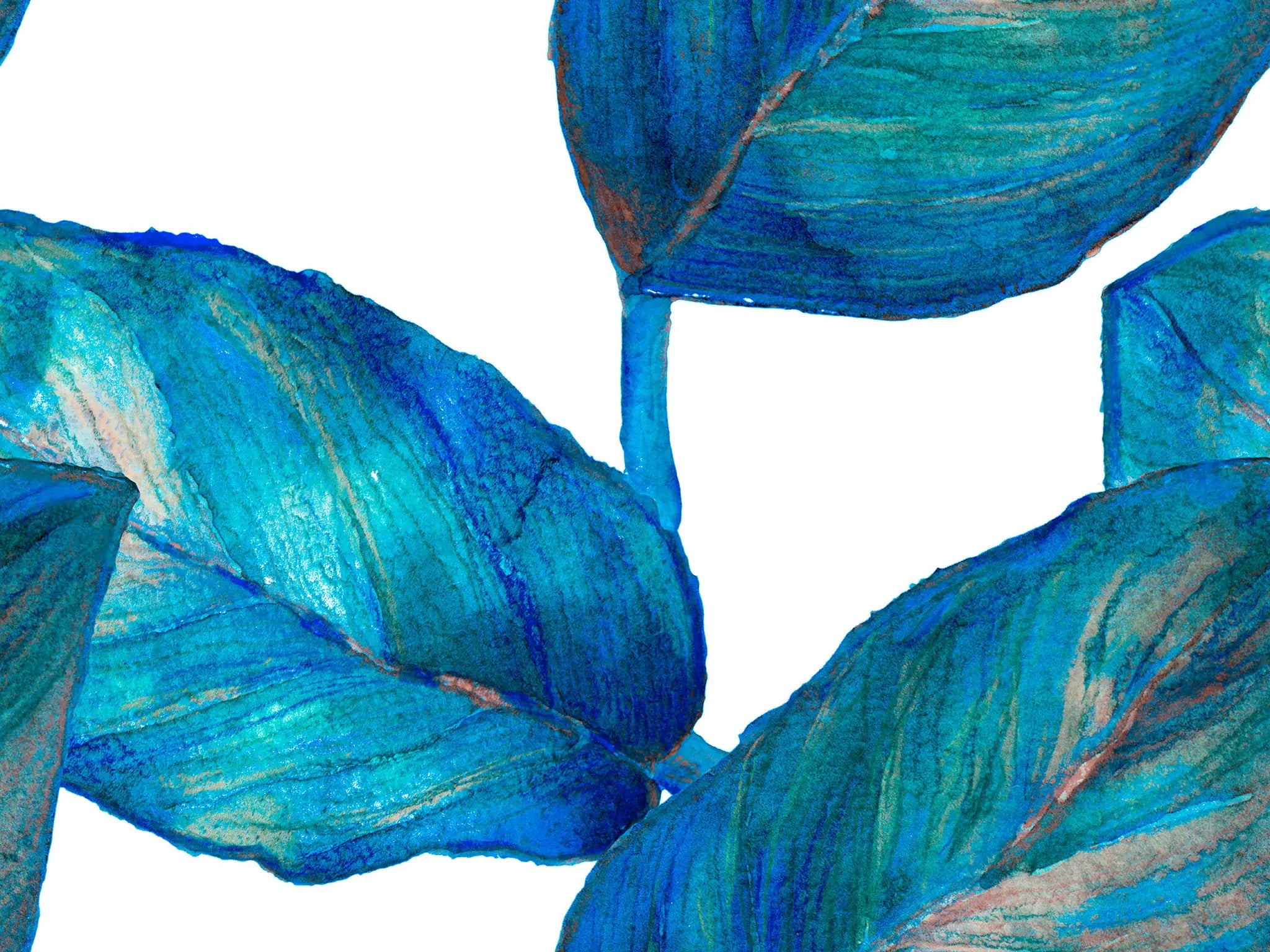 Close-up of blue tropical leaves on a white background
