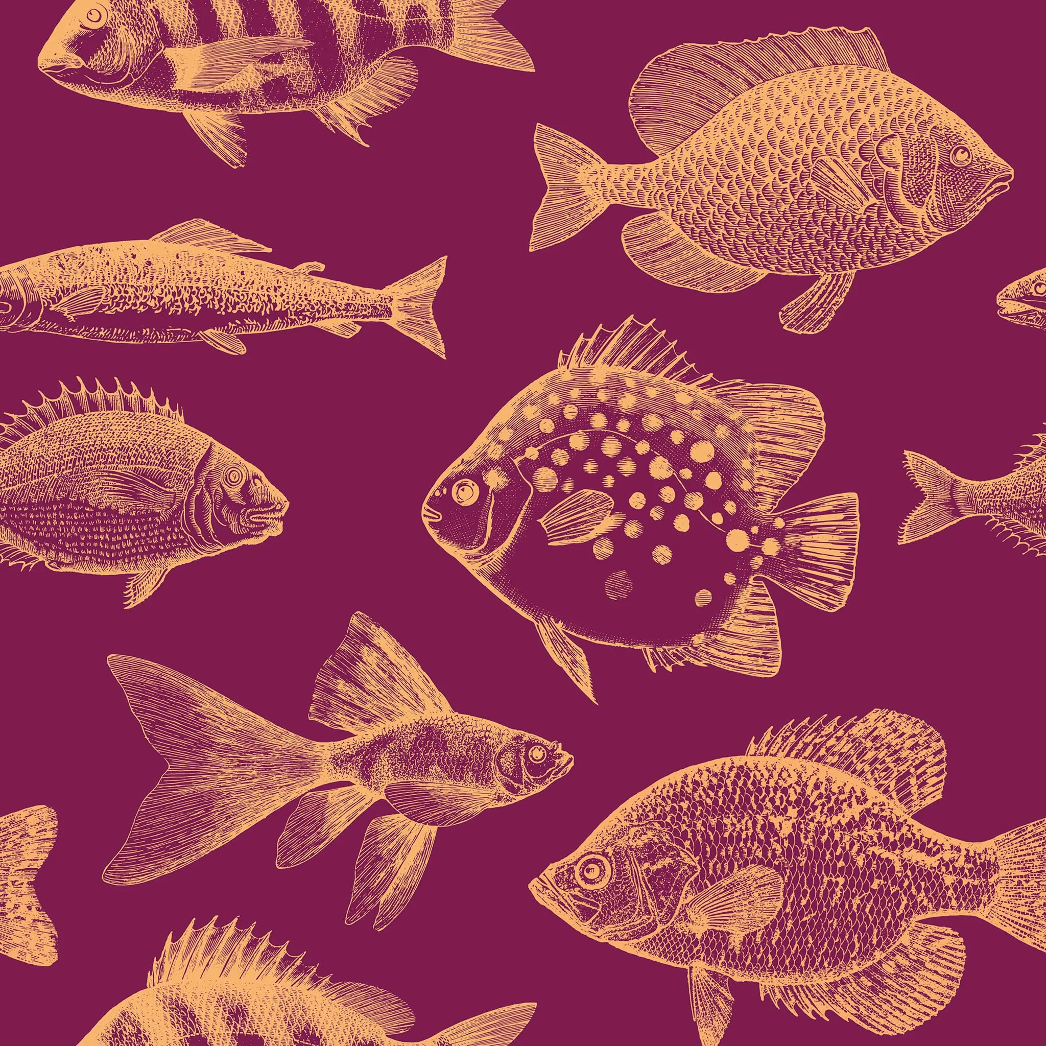 Pattern of fish illustrations on a purple background