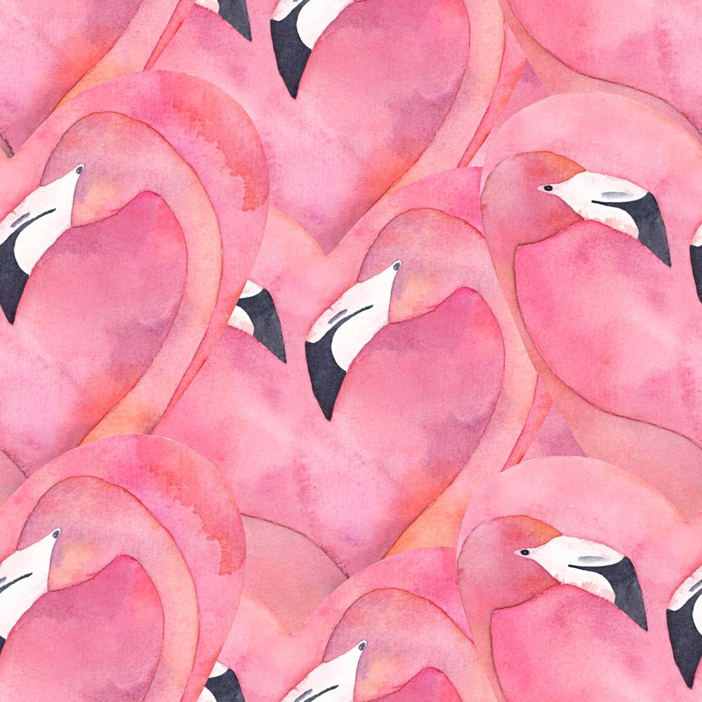 Flamingo Love Wallpaper - DeccoPrint