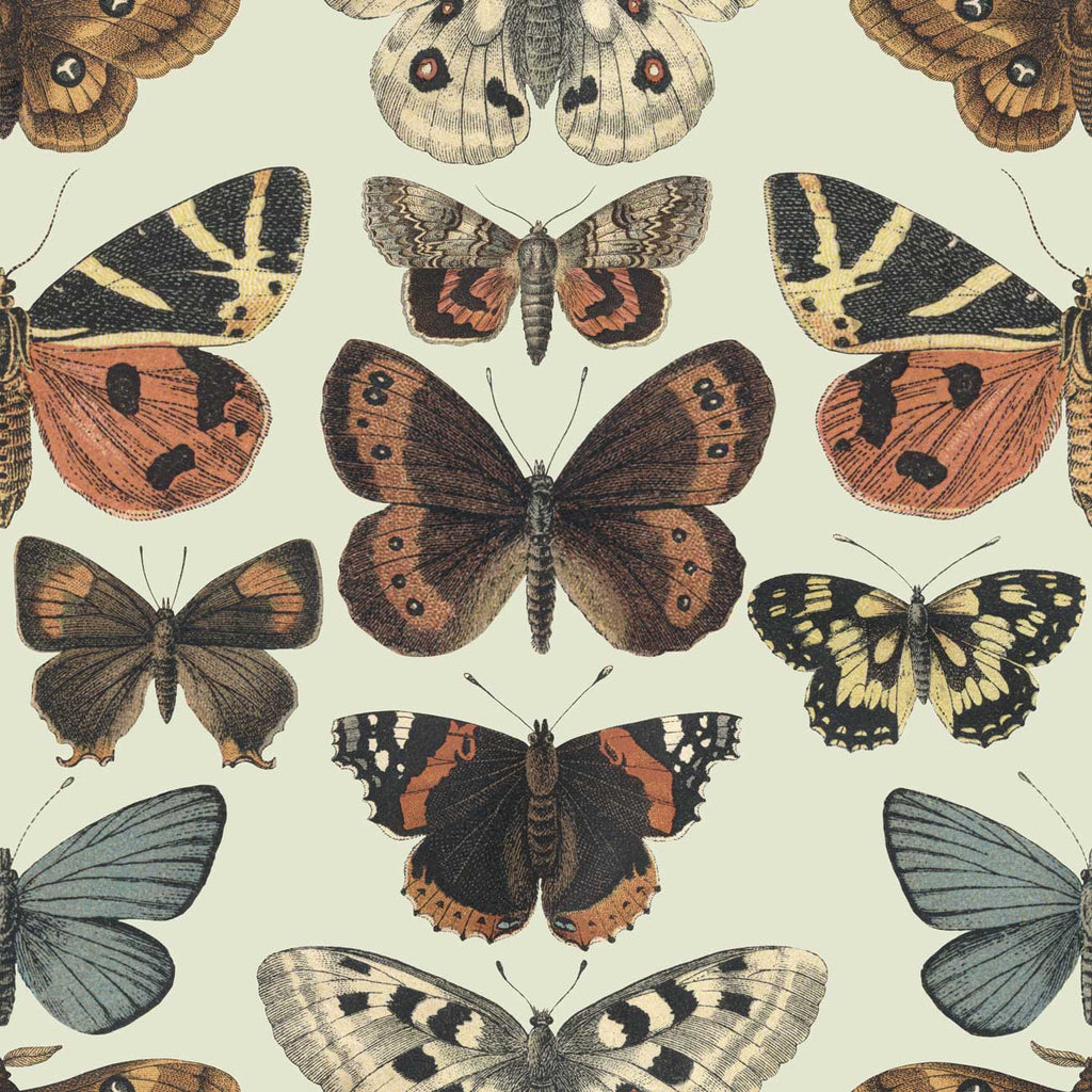 Fly by Butterfly Wallpaper - DeccoPrint