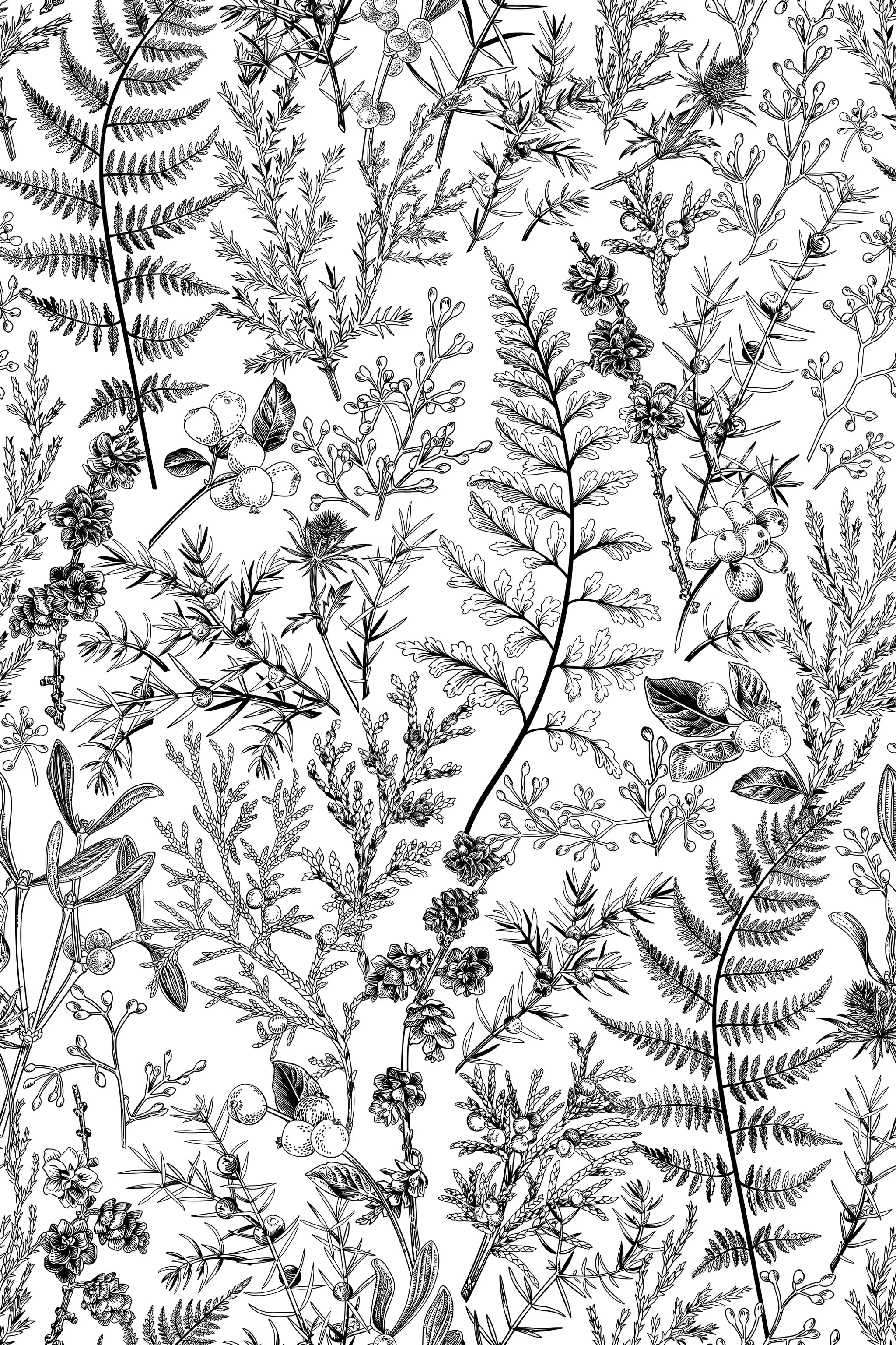 Black and white pattern of various plants and leaves on a white background