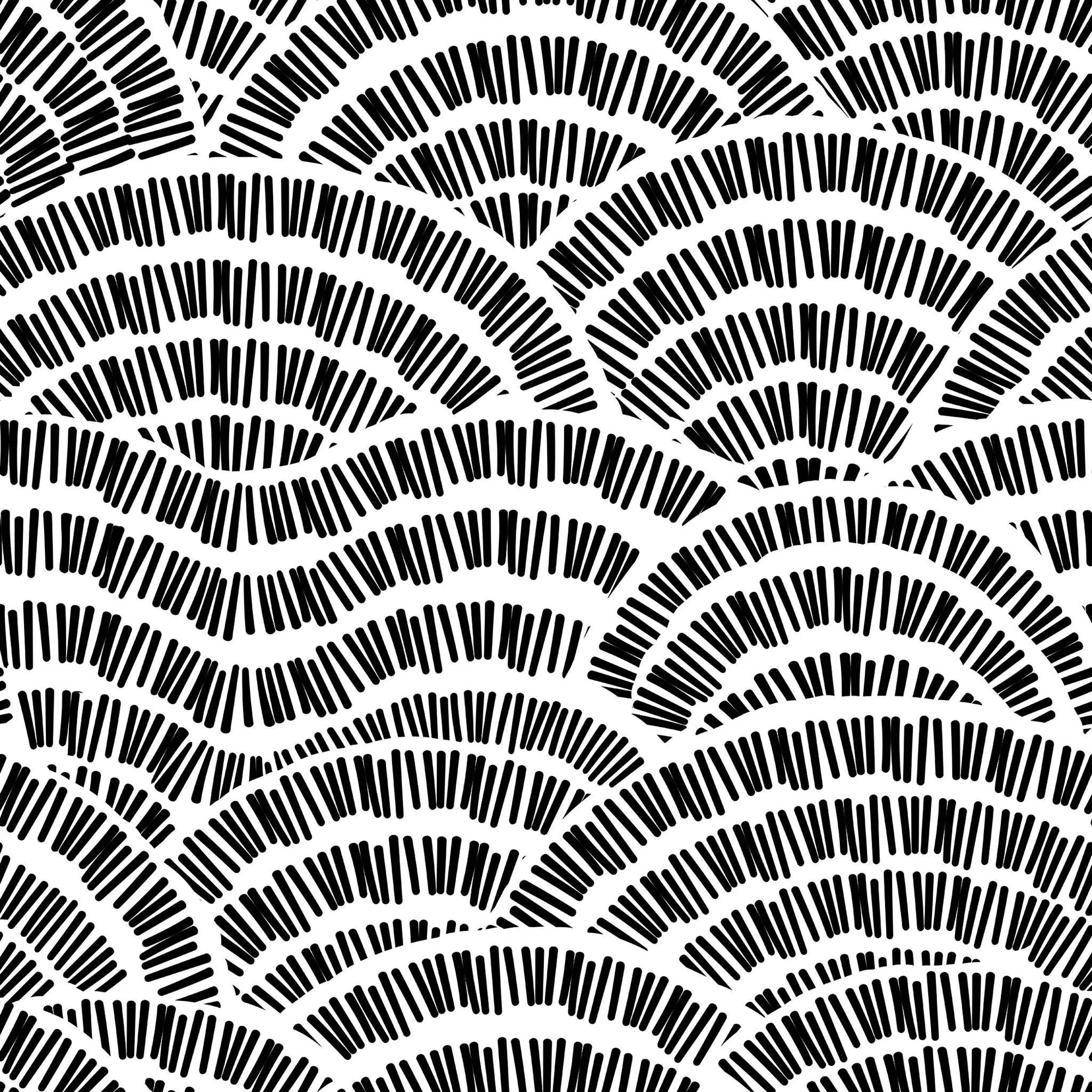 Black and white geometric pattern with wavy lines