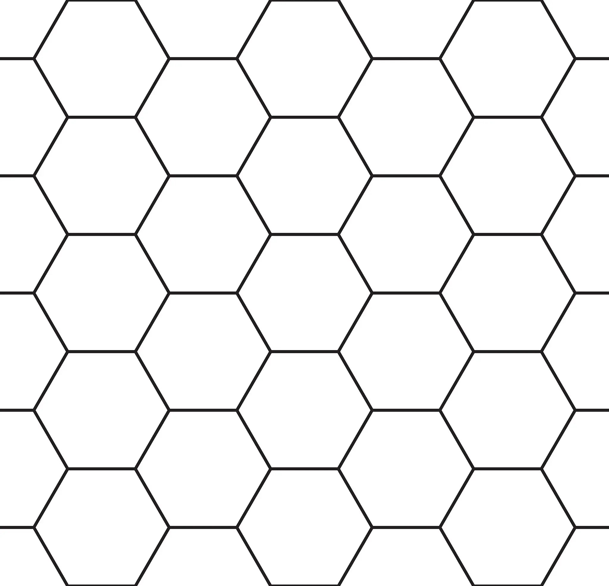 Pattern of hexagonal cells with alternating black and white colors