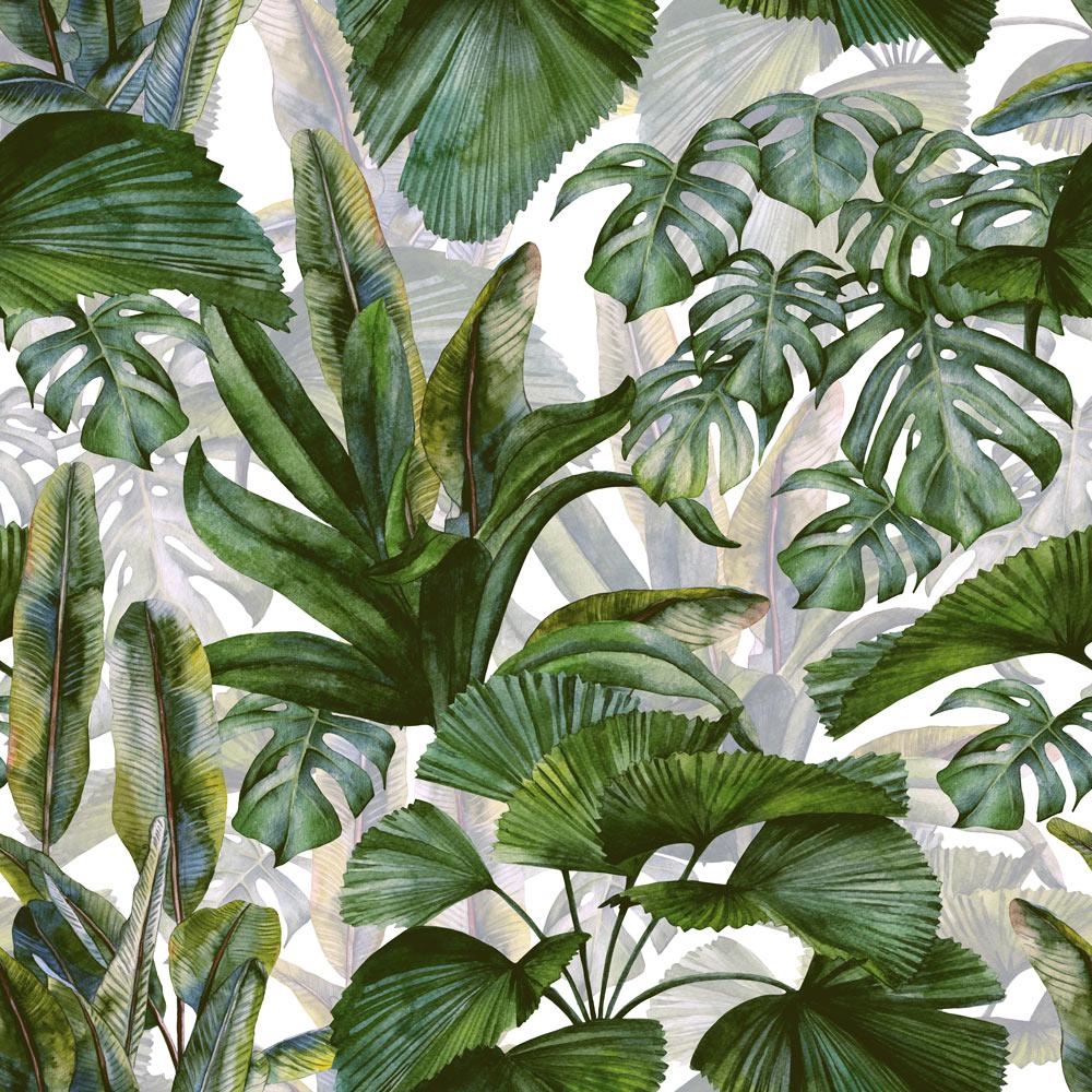 Pattern of tropical leaves on a white background