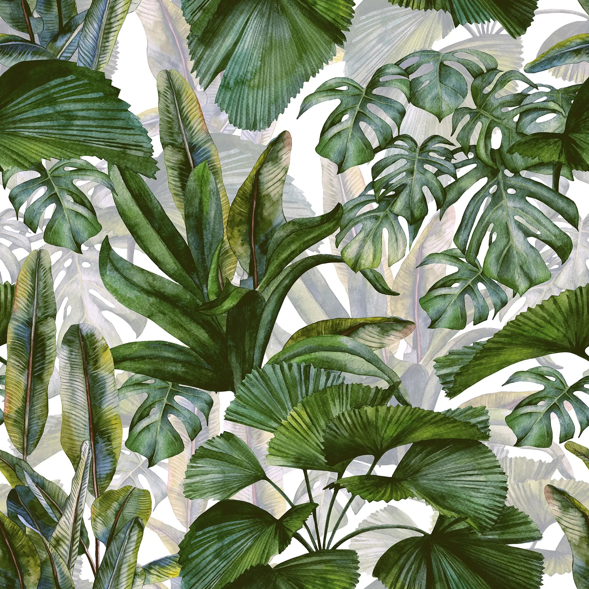 Pattern of tropical leaves on a white background