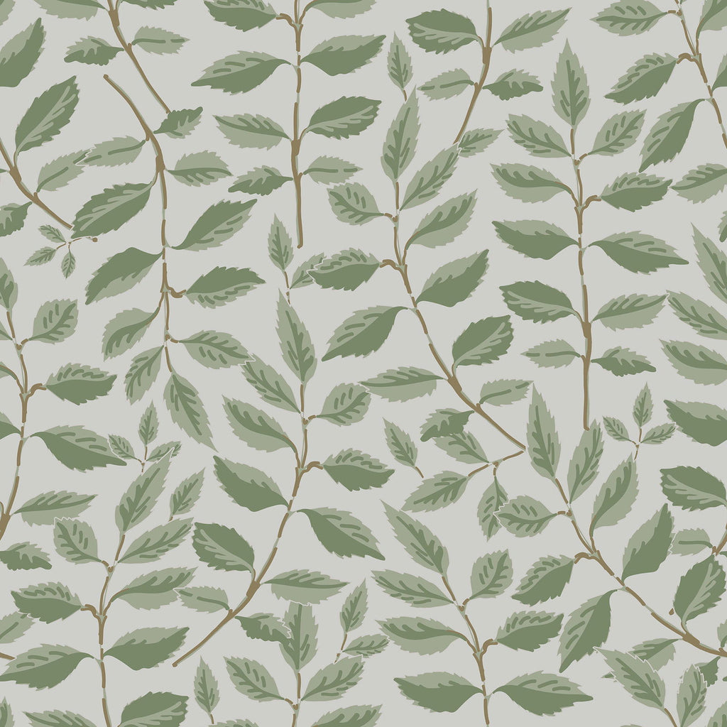 Leafy Oasis Wallpaper | DeccoPrint