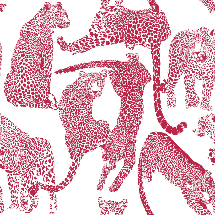 Magenta Leopards Wallpaper