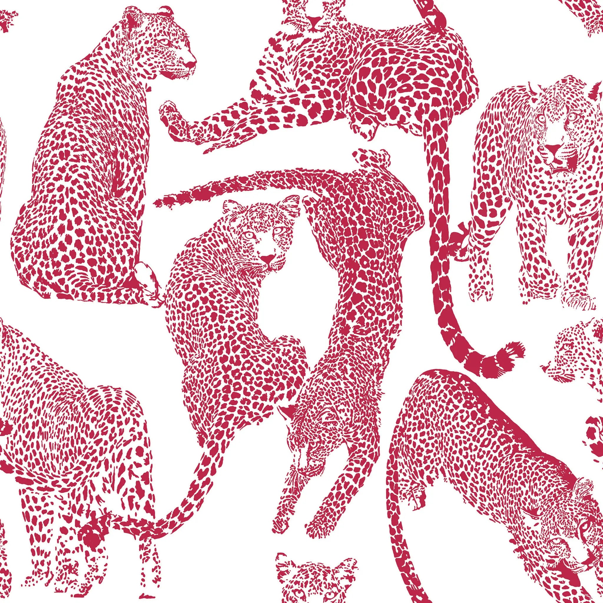 Pattern of red leopards on a white background