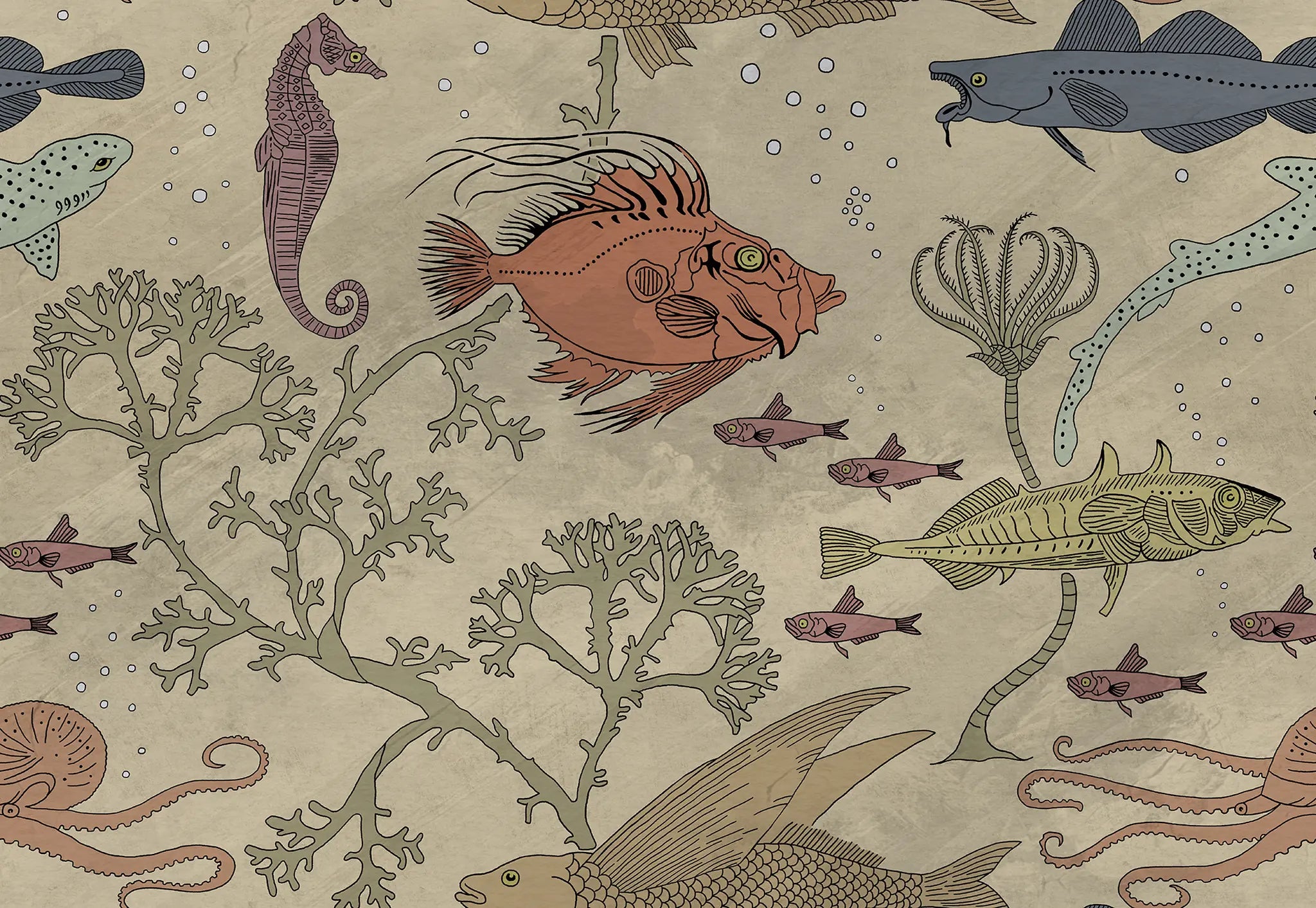 Illustration of various sea creatures on a beige background
