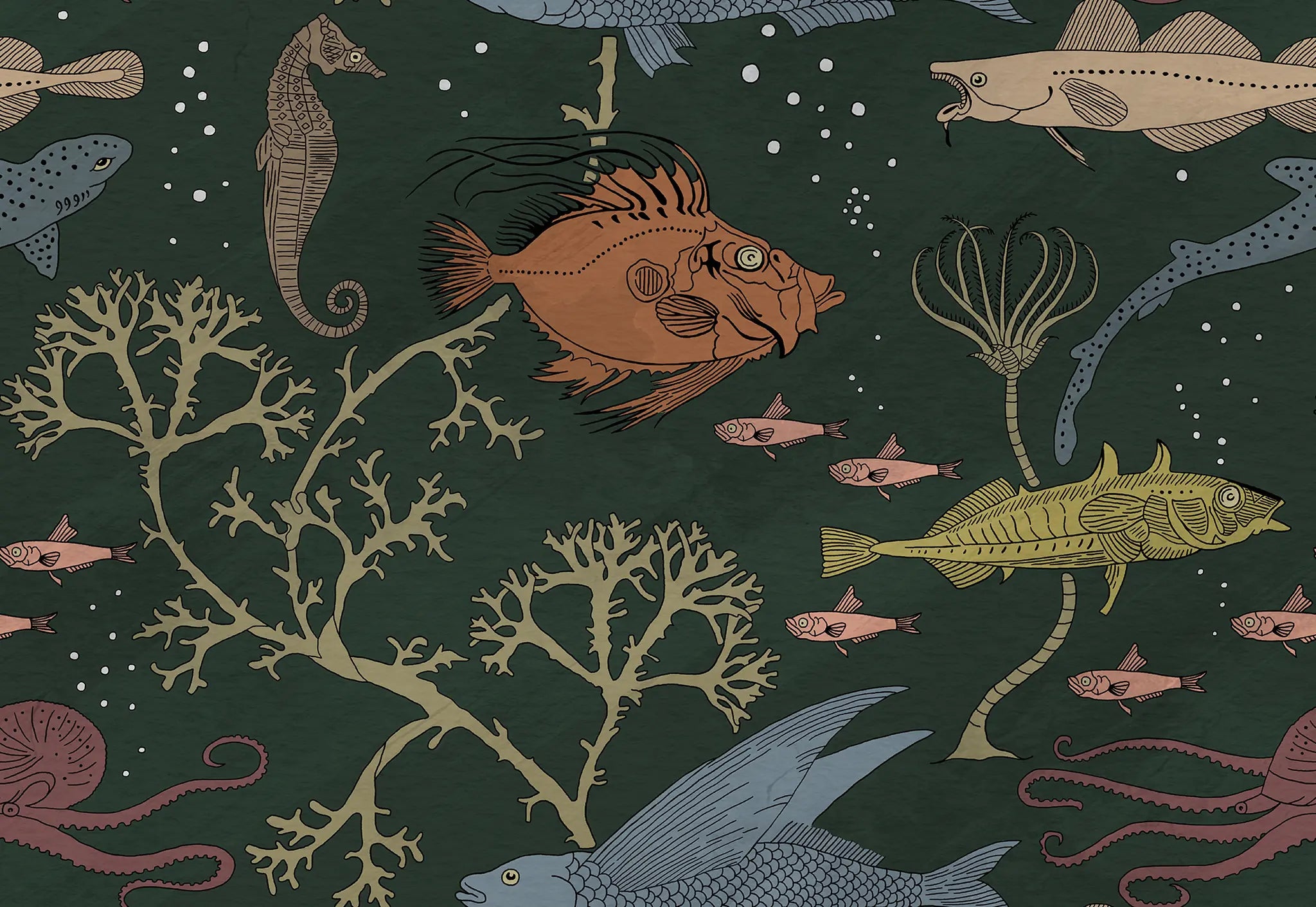 Illustration of various sea creatures on a dark green background