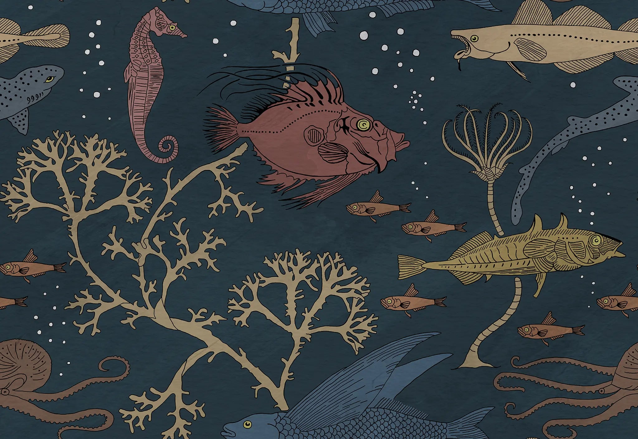Illustration of various sea creatures and plants on a dark blue background