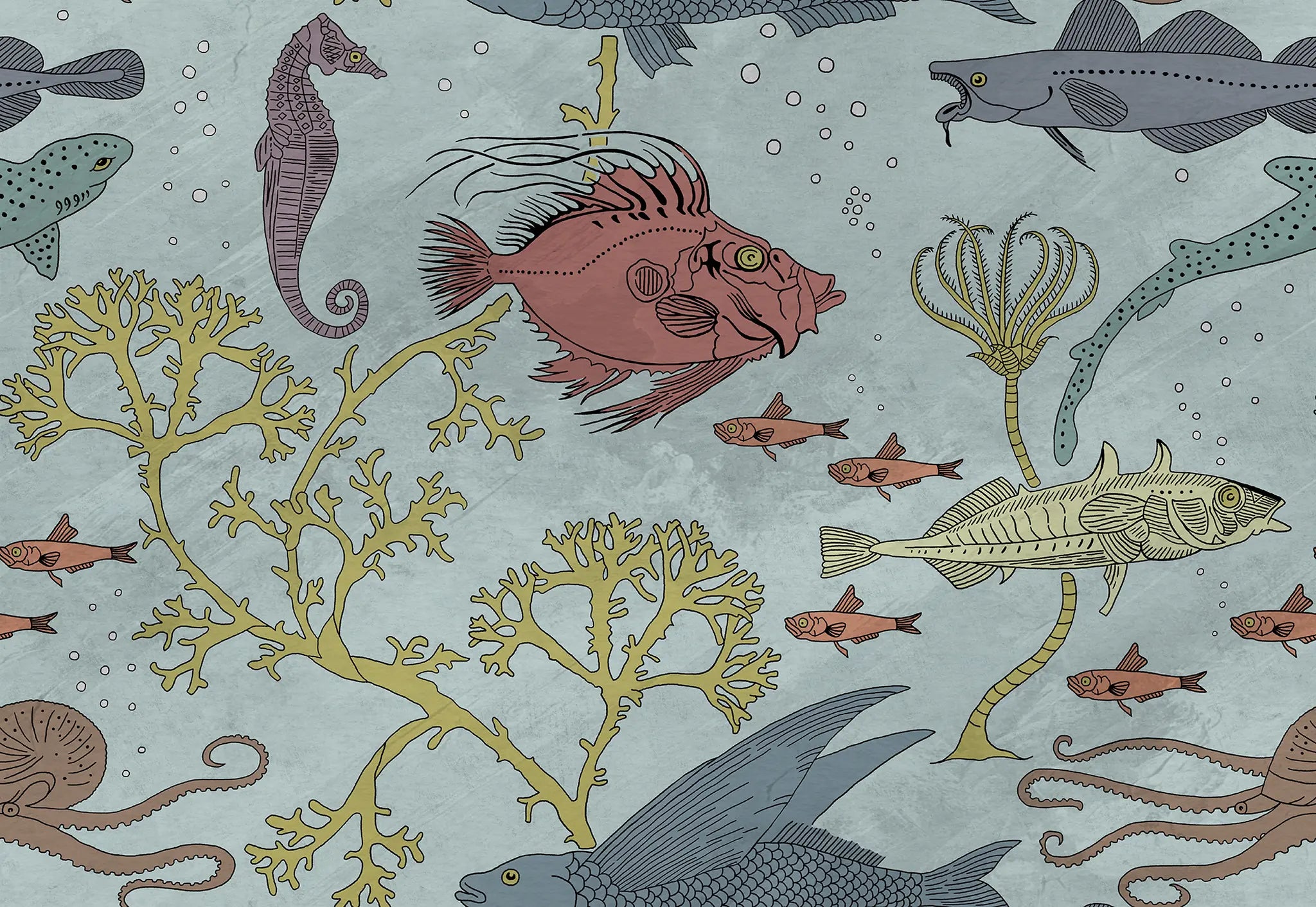 Illustration of various sea creatures and plants on a light blue background