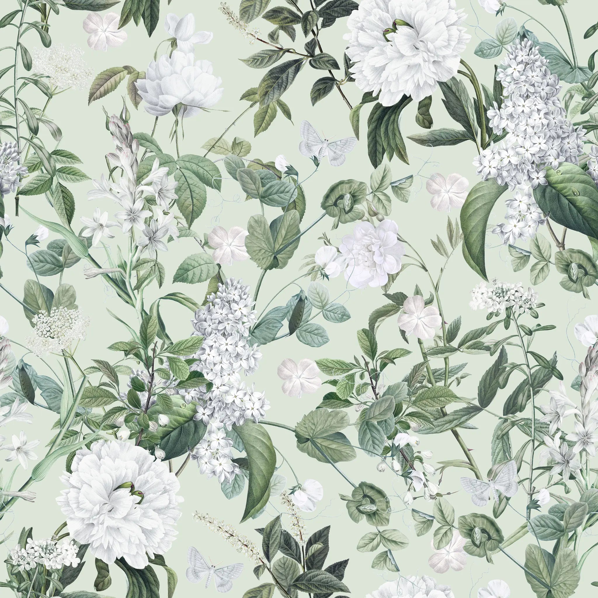 Floral pattern with white flowers and green leaves on a light green background