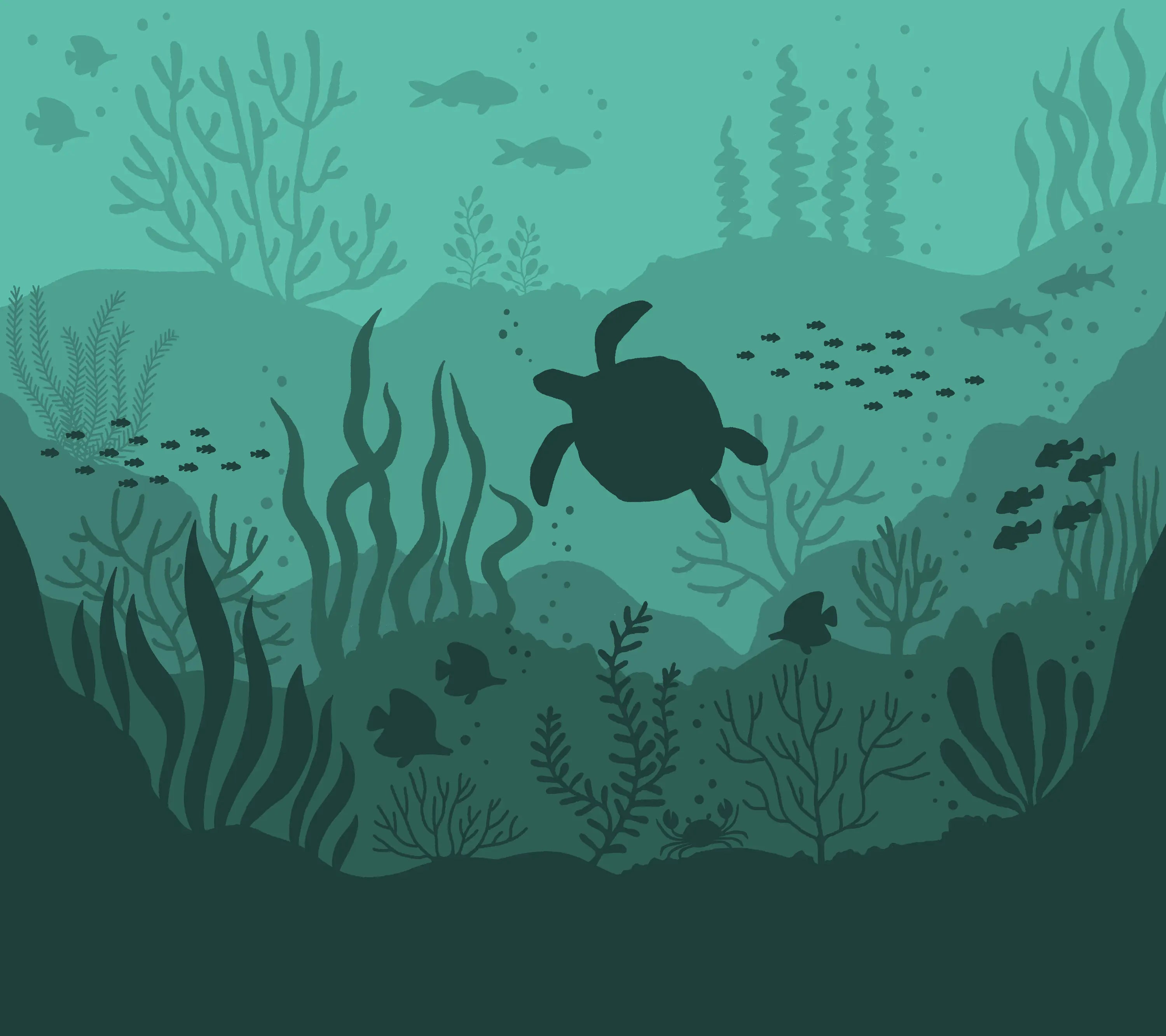 Underwater scene with a turtle and marine life on a teal background
