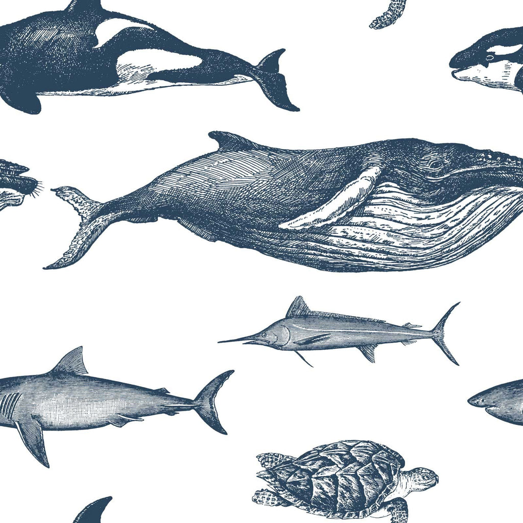 Ocean King Peel and Stick Wallpaper, Removable Wallpaper, Traditional Wallpaper | DeccoPrint