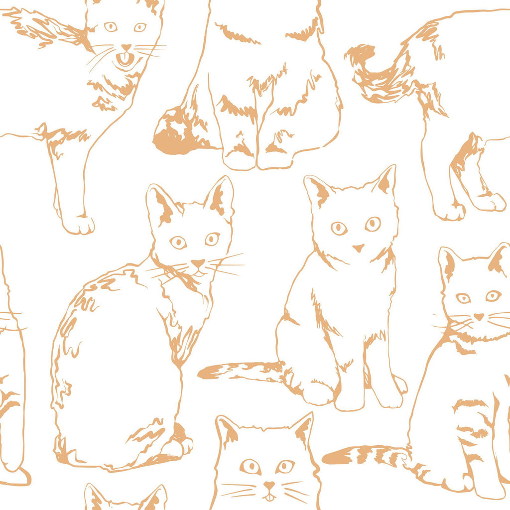 Orange Cats Wallpaper - DeccoPrint