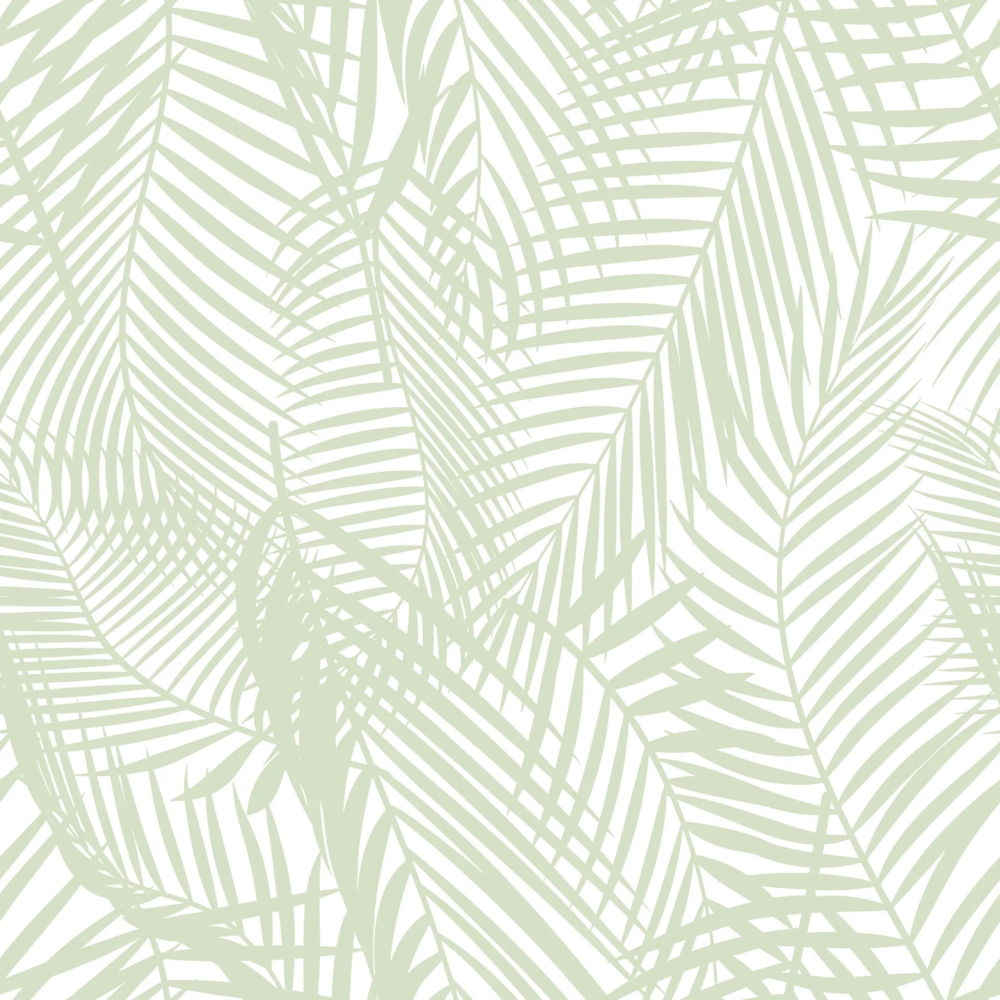 Pattern of light green palm leaves on a white background