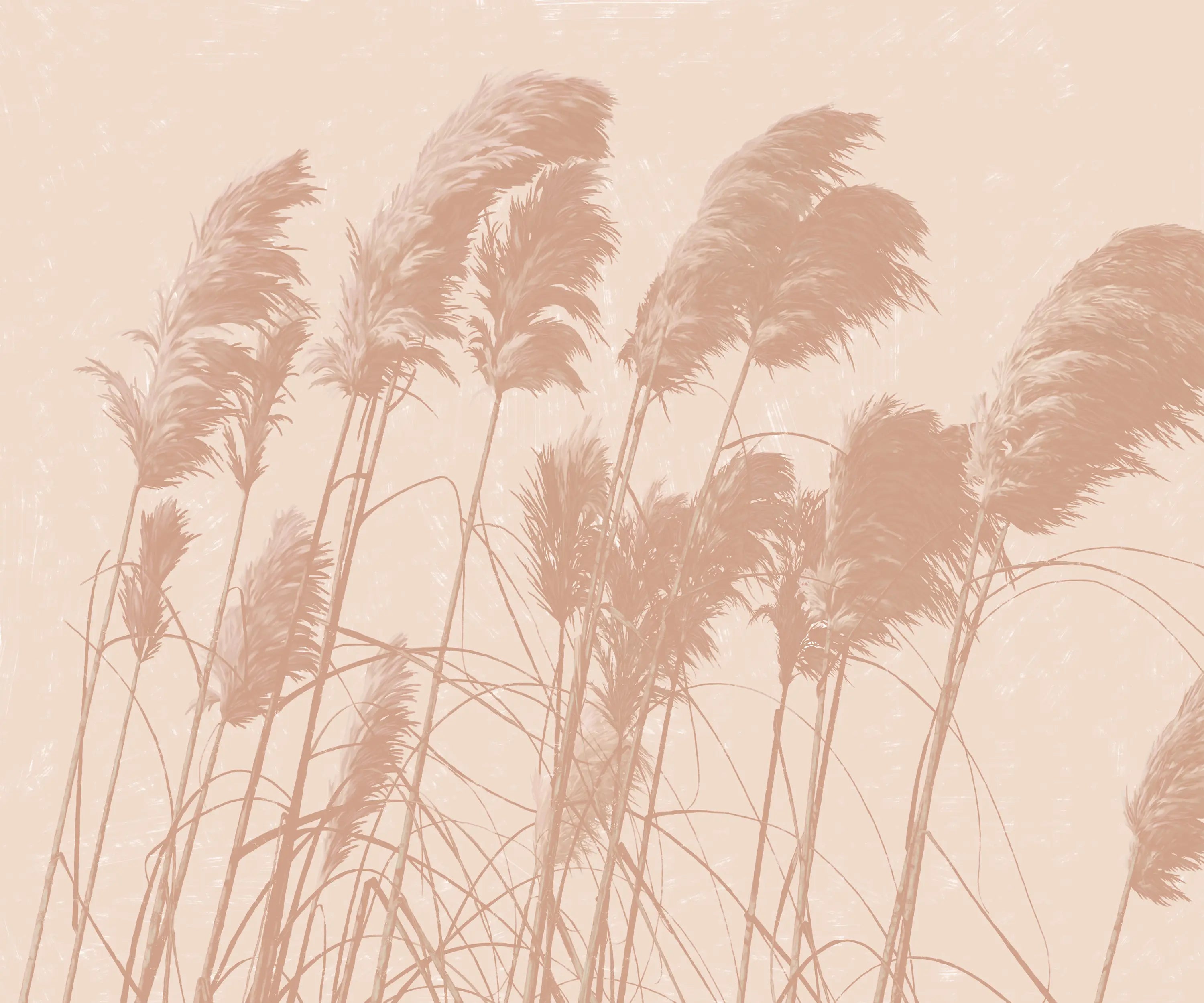 Pampas Melody Peel and Stick Wallpaper, Removable Wallpaper, Traditional Wallpaper | DeccoPrint