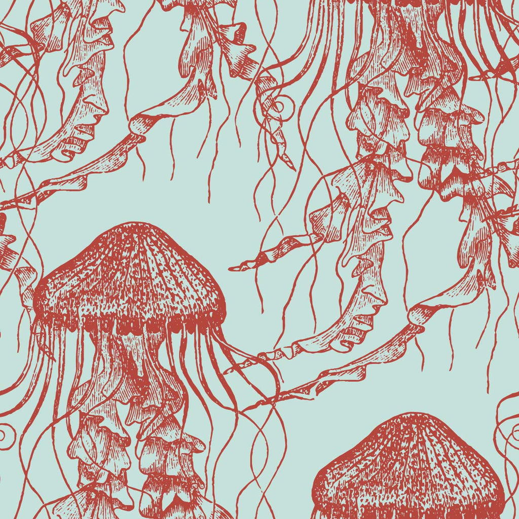 Red Jellyfish Wallpaper - DeccoPrint