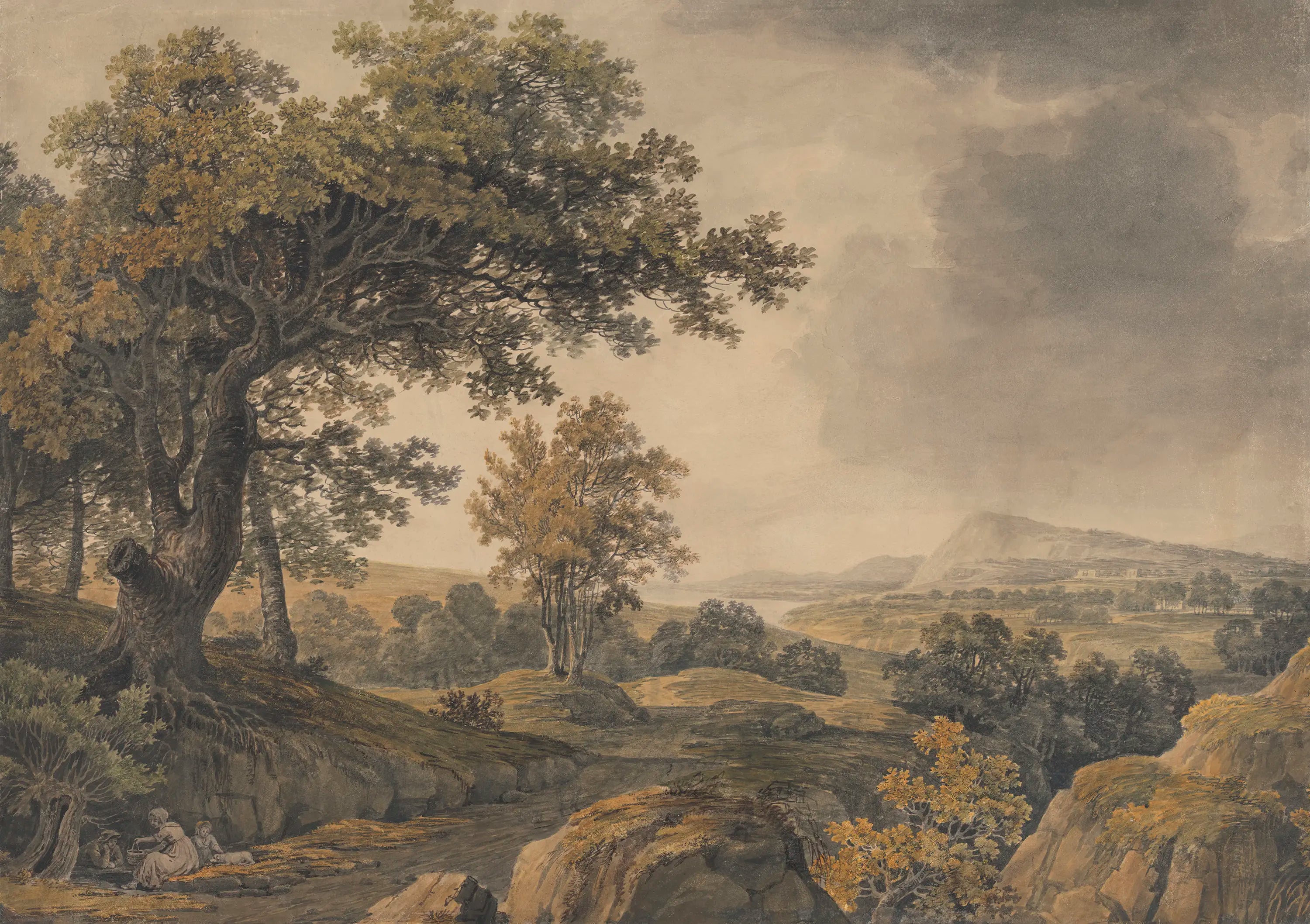 Landscape with trees and a distant mountain under a cloudy sky