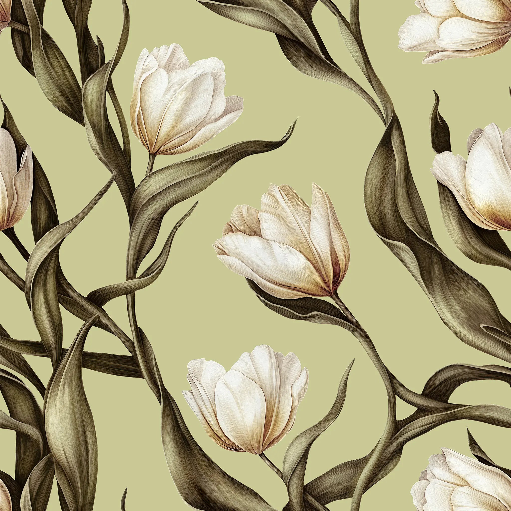 Pattern of white tulips with brown leaves on a light green background
