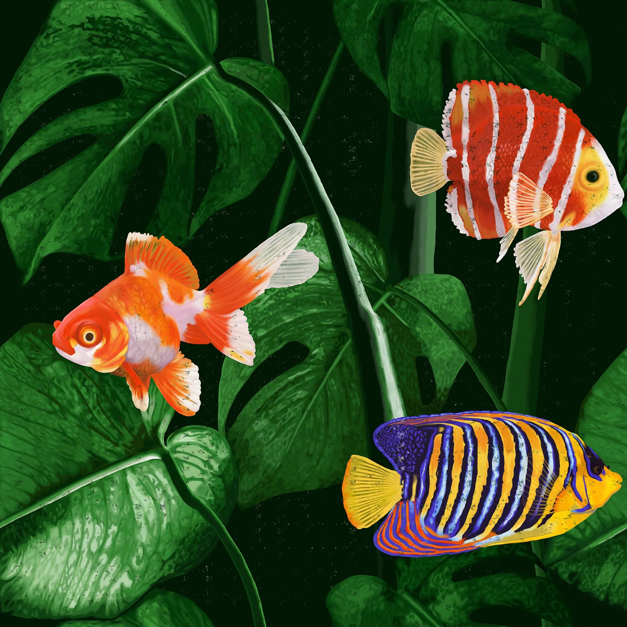 Colorful fish with tropical leaves on a dark background