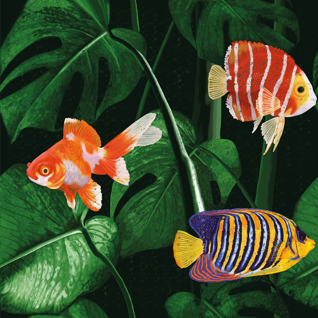 Tropical Fish Peel and Stick Wallpaper, Removable Wallpaper, Traditional Wallpaper | DeccoPrint