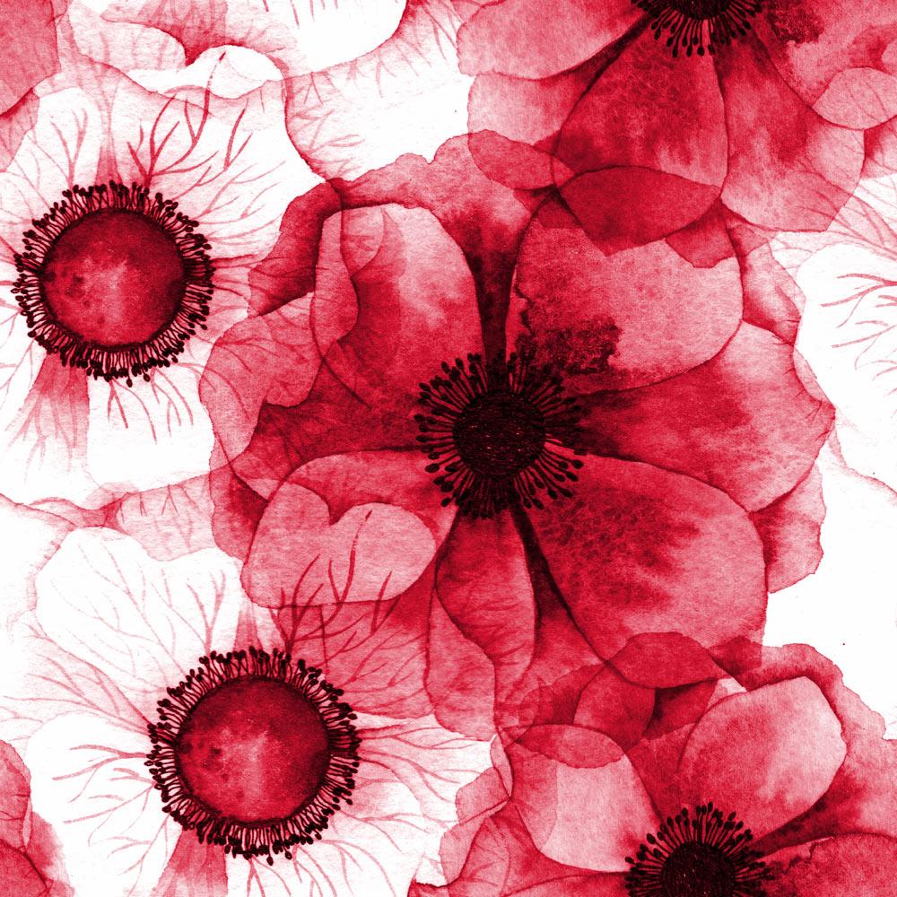 Wild Poppies Wallpaper - DeccoPrint