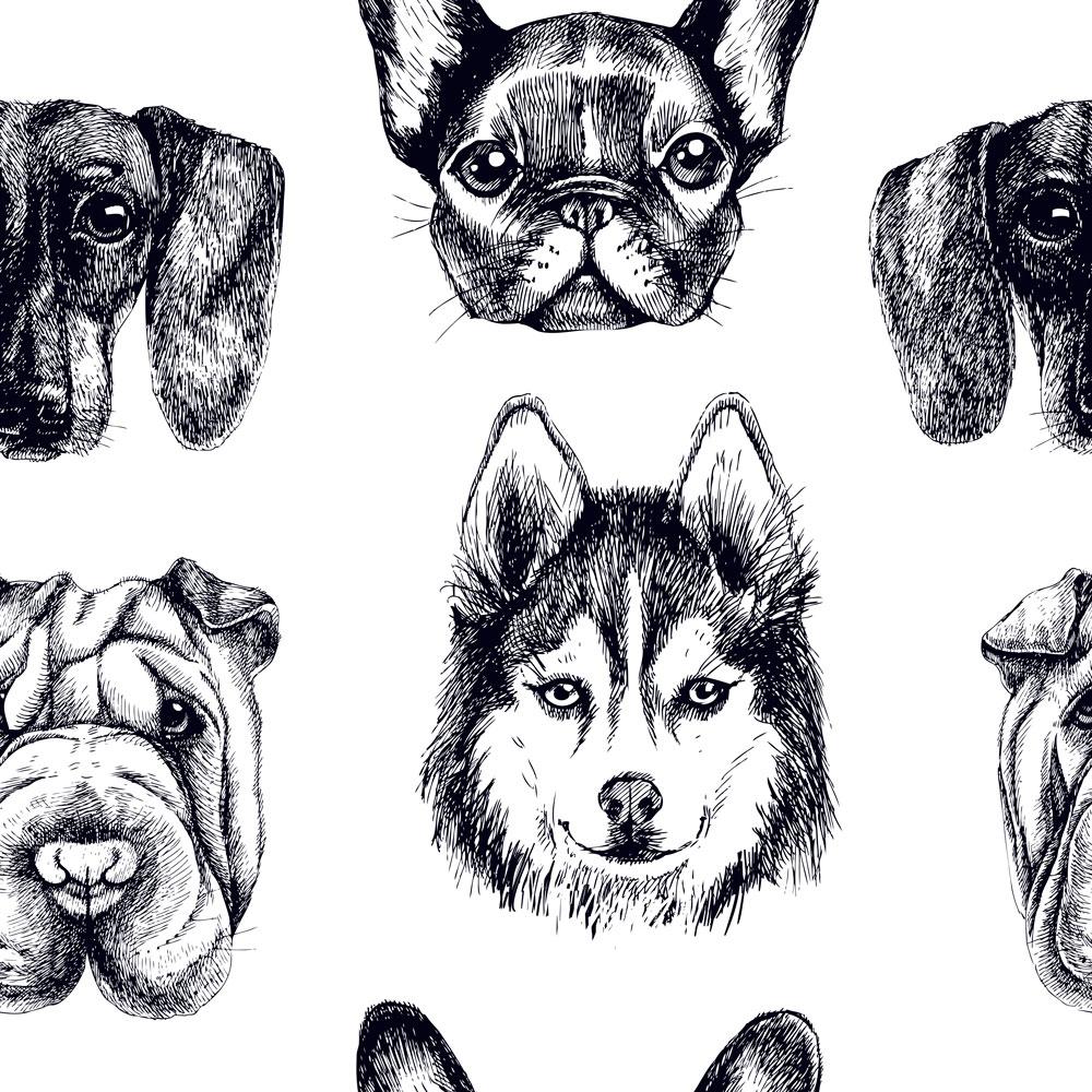 Doggie Portraits - Peel and stick wall cover pattern by DeccoPrint